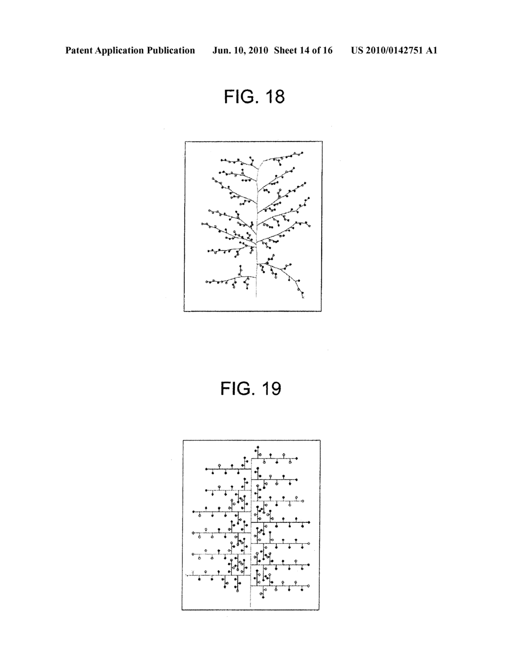 METHOD AND APPARATUS FOR ANALYZING PANICLE STRUCTURE - diagram, schematic, and image 15