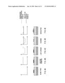 IMAGE FORMING APPARATUS diagram and image