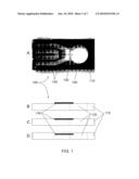 MICROCANTILEVER SENSOR FOR ANALYTE DETECTION diagram and image