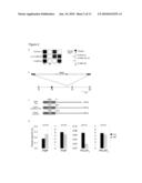 FIG4 GENE MUTATIONS IN NEURODEGENERATION diagram and image