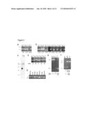 FIG4 GENE MUTATIONS IN NEURODEGENERATION diagram and image