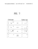 COMPOSITION FOR THE DIAGNOSIS, PREVENTION OR TREATMENT OF DISEASES RELATED TO CELLS EXPRESSING IL-8 OR GRO-ALPHA, COMPRISING UCB-MSCS diagram and image