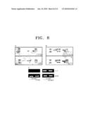 COMPOSITION FOR THE DIAGNOSIS, PREVENTION OR TREATMENT OF DISEASES RELATED TO CELLS EXPRESSING IL-8 OR GRO-ALPHA, COMPRISING UCB-MSCS diagram and image