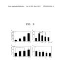 COMPOSITION FOR THE DIAGNOSIS, PREVENTION OR TREATMENT OF DISEASES RELATED TO CELLS EXPRESSING IL-8 OR GRO-ALPHA, COMPRISING UCB-MSCS diagram and image