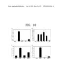 COMPOSITION FOR THE DIAGNOSIS, PREVENTION OR TREATMENT OF DISEASES RELATED TO CELLS EXPRESSING IL-8 OR GRO-ALPHA, COMPRISING UCB-MSCS diagram and image