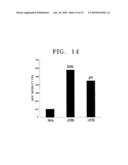 COMPOSITION FOR THE DIAGNOSIS, PREVENTION OR TREATMENT OF DISEASES RELATED TO CELLS EXPRESSING IL-8 OR GRO-ALPHA, COMPRISING UCB-MSCS diagram and image