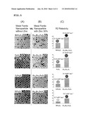 MAGNETIC RESONANCE IMAGING CONTRAST AGENTS COMPRISING ZINC-CONTAINING MAGNETIC METAL OXIDE NANOPARTICLES diagram and image