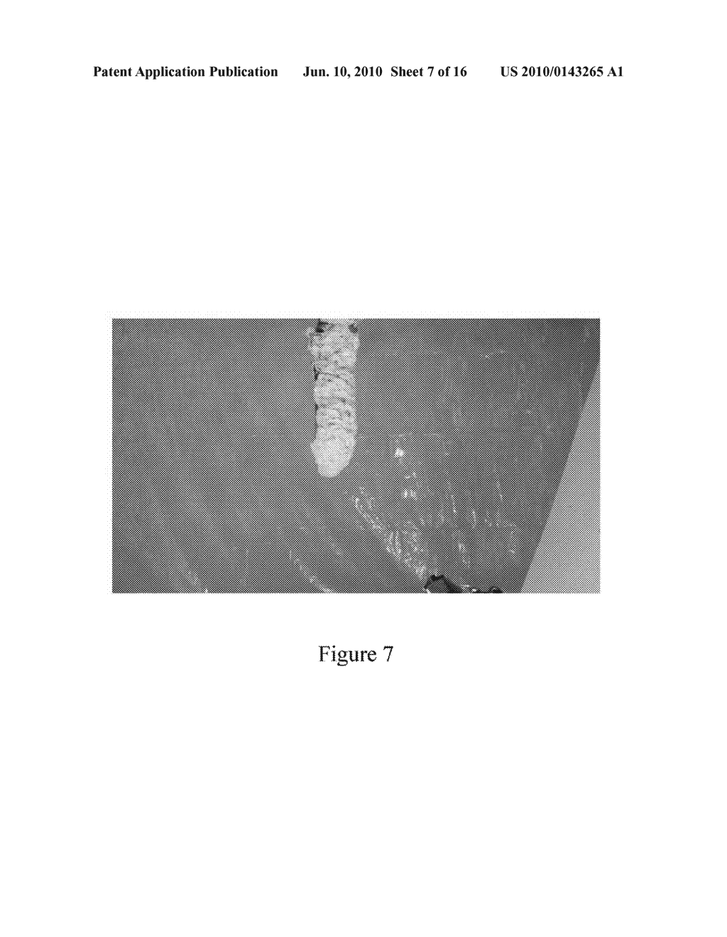 SYSTEM AND METHOD FOR THE DELIVERY OF A SANITIZING FOAM - diagram, schematic, and image 08