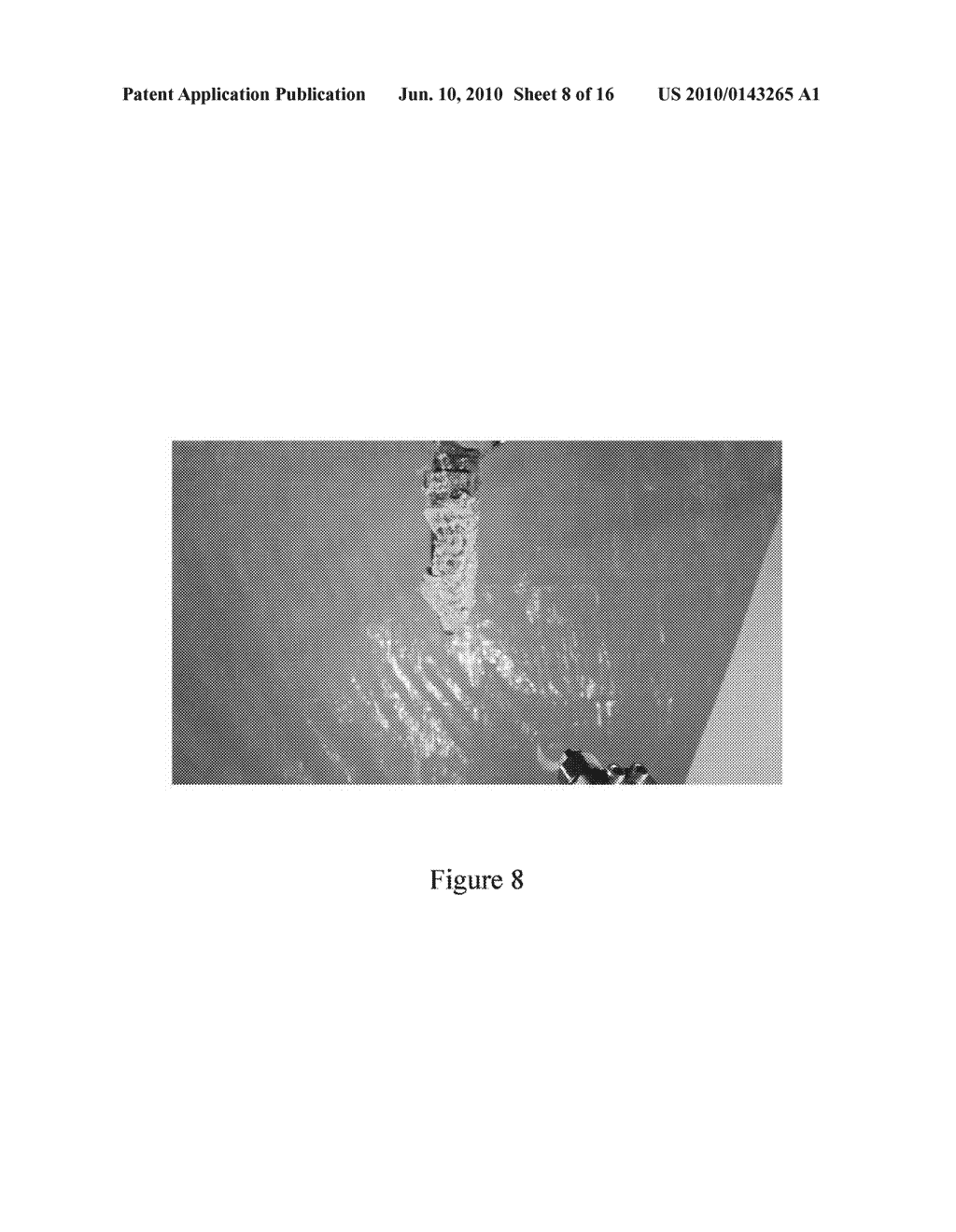 SYSTEM AND METHOD FOR THE DELIVERY OF A SANITIZING FOAM - diagram, schematic, and image 09