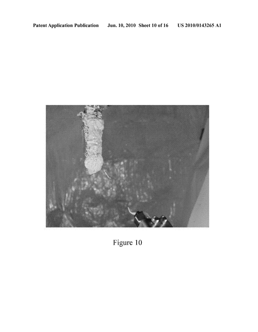 SYSTEM AND METHOD FOR THE DELIVERY OF A SANITIZING FOAM - diagram, schematic, and image 11