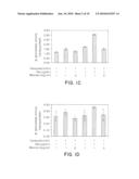 METHODS OF ENHANCING LYSOSOMAL STORAGE DISEASE THERAPY BY MODULATION OF CELL SURFACE RECEPTOR DENSITY diagram and image