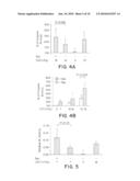 METHODS OF ENHANCING LYSOSOMAL STORAGE DISEASE THERAPY BY MODULATION OF CELL SURFACE RECEPTOR DENSITY diagram and image