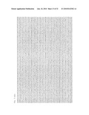 Recombinant Adenoviruses Based on Serotype 26 and 48, and Use Thereof diagram and image