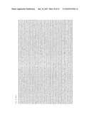 Recombinant Adenoviruses Based on Serotype 26 and 48, and Use Thereof diagram and image