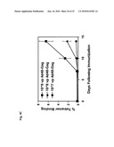 Recombinant Adenoviruses Based on Serotype 26 and 48, and Use Thereof diagram and image