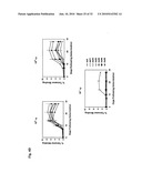 Recombinant Adenoviruses Based on Serotype 26 and 48, and Use Thereof diagram and image