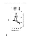 Recombinant Adenoviruses Based on Serotype 26 and 48, and Use Thereof diagram and image