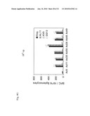 Recombinant Adenoviruses Based on Serotype 26 and 48, and Use Thereof diagram and image