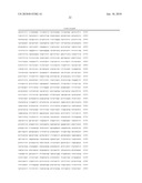 Recombinant Adenoviruses Based on Serotype 26 and 48, and Use Thereof diagram and image