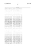 Recombinant Adenoviruses Based on Serotype 26 and 48, and Use Thereof diagram and image