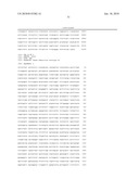 Recombinant Adenoviruses Based on Serotype 26 and 48, and Use Thereof diagram and image