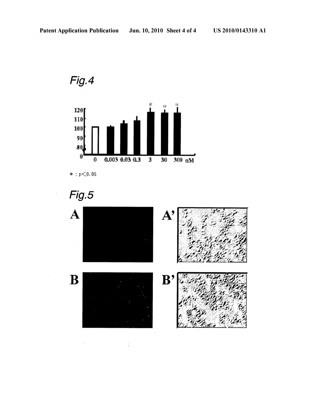 SPINAL NERVE REPAIR PROMOTING THERAPEUTICS CONTAINING GHRELIN OR ITS DERIVATIVES OR SUBSTANCES THAT ACT ON GHS-R1a AS AN ACTIVE INGREDIENT - diagram, schematic, and image 05