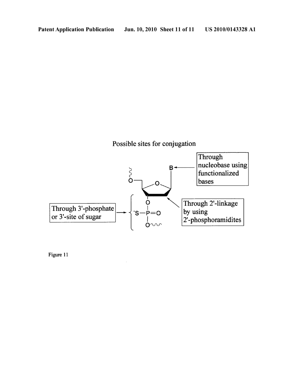 IMMUNOSTIMULATORY PROPERTIES OF OLIGONUCLEOTIDE-BASED COMPOUNDS COMPRISING MODIFIED IMMUNOSTIMULATORY DINUCLEOTIDES - diagram, schematic, and image 12