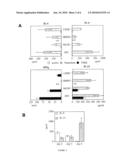 METHODS OF TREATING AND PREVENTING COLITIS INVOLVING IL-13 AND NK-T CELLS diagram and image