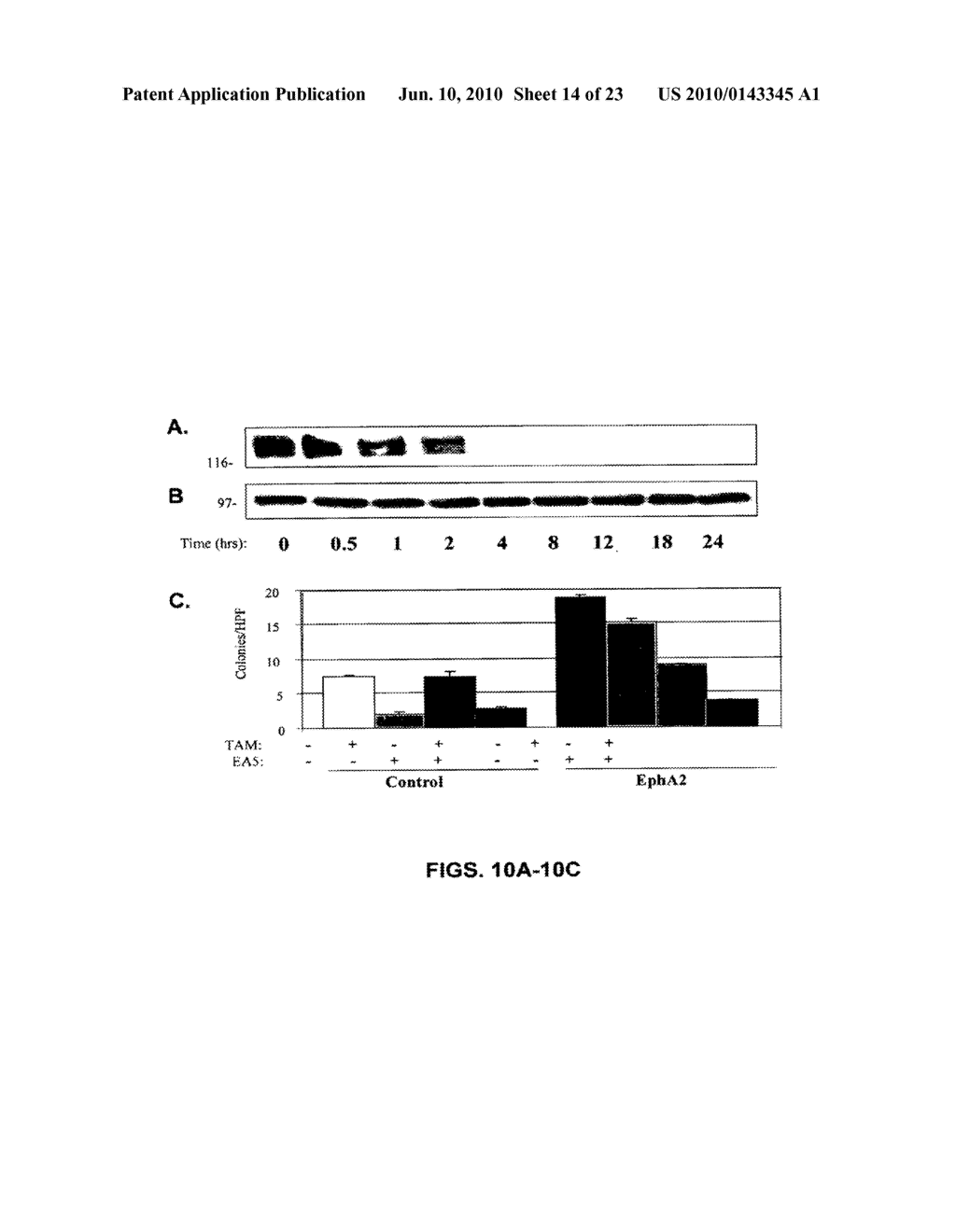 EPHA2 AGONISTIC MONOCLONAL ANTIBODIES AND METHODS OF USE THEREOF - diagram, schematic, and image 15