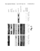 COMBINATION OF A PURINE-BASED CDK INHIBITOR WITH A TYROSINE KINASE INHIBITOR AND USE THEREOF IN THE TREATMENT OF PROLIFERATIVE DISORDERS diagram and image