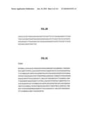 POLYPEPTIDES COMPRISING Fc FRAGMENTS OF IMMUNOGLOBULIN G (lgG) AND METHODS OF USING THE SAME diagram and image