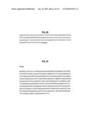 POLYPEPTIDES COMPRISING Fc FRAGMENTS OF IMMUNOGLOBULIN G (lgG) AND METHODS OF USING THE SAME diagram and image