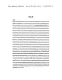 POLYPEPTIDES COMPRISING Fc FRAGMENTS OF IMMUNOGLOBULIN G (lgG) AND METHODS OF USING THE SAME diagram and image