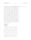 POLYPEPTIDES COMPRISING Fc FRAGMENTS OF IMMUNOGLOBULIN G (lgG) AND METHODS OF USING THE SAME diagram and image