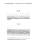 POLYPEPTIDES COMPRISING Fc FRAGMENTS OF IMMUNOGLOBULIN G (lgG) AND METHODS OF USING THE SAME diagram and image