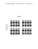 POLYPEPTIDES COMPRISING Fc FRAGMENTS OF IMMUNOGLOBULIN G (lgG) AND METHODS OF USING THE SAME diagram and image