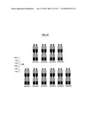 POLYPEPTIDES COMPRISING Fc FRAGMENTS OF IMMUNOGLOBULIN G (lgG) AND METHODS OF USING THE SAME diagram and image