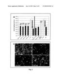 LINGO binding molecules and Pharmaceutical Use Thereof diagram and image