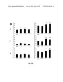 LINGO binding molecules and Pharmaceutical Use Thereof diagram and image