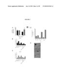 METHODS AND MATERIALS RELATED TO ANTI-AMYLOID ANTIBODIES diagram and image