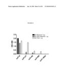 METHODS AND MATERIALS RELATED TO ANTI-AMYLOID ANTIBODIES diagram and image