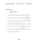 Interferon Alpha Receptor I Antibodies And Their Use diagram and image