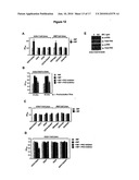 MIF AGONISTS AND ANTAGONIST AND THERAPEUTIC USES THEREOF diagram and image