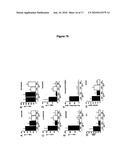 MIF AGONISTS AND ANTAGONIST AND THERAPEUTIC USES THEREOF diagram and image