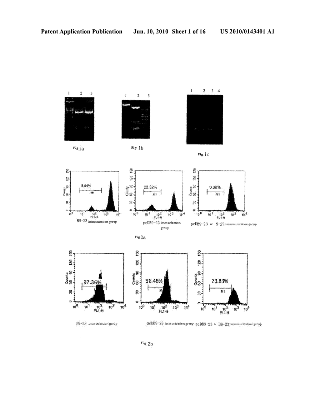 VACCINE PREVENTING AND/OR TREATING AUTOIMMUNE DISEASES - diagram, schematic, and image 02