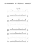 BASB027 PROTEINS AND GENES FROM MORAXELLA CATARRHALIS, ANTIGENS, ANTIBODIES, AND USES diagram and image