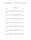 BASB027 PROTEINS AND GENES FROM MORAXELLA CATARRHALIS, ANTIGENS, ANTIBODIES, AND USES diagram and image