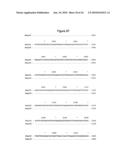 BASB027 PROTEINS AND GENES FROM MORAXELLA CATARRHALIS, ANTIGENS, ANTIBODIES, AND USES diagram and image