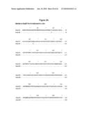 BASB027 PROTEINS AND GENES FROM MORAXELLA CATARRHALIS, ANTIGENS, ANTIBODIES, AND USES diagram and image