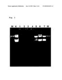 BIOACTIVE, RUTHENIUM-CONTAINING COATING AND DEVICE diagram and image